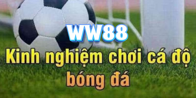 ww88 cổng thông tin cá độ uy tín, đứng đầu châu lục